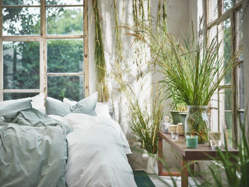 Lorem 6 ipsum ipsum dolor sit amet